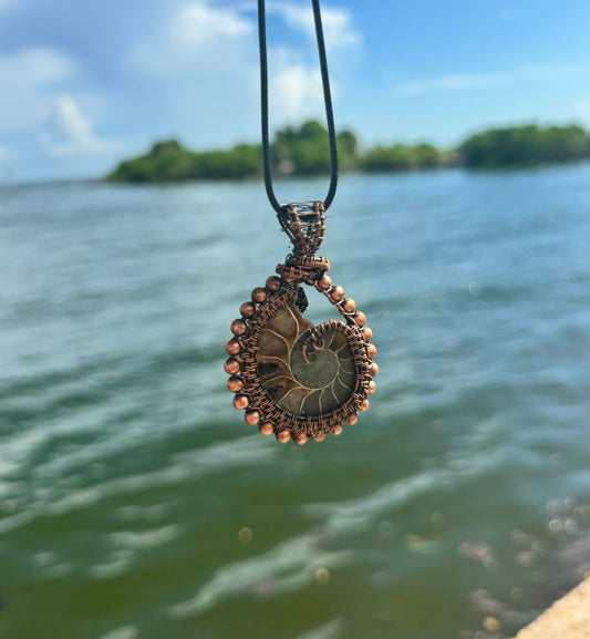 Beaded Ammonite